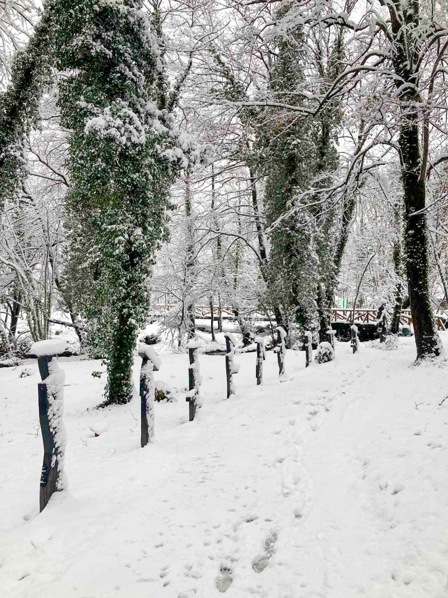 Zimska tišina na Japodskim otocima: Album za resetiranje - 9