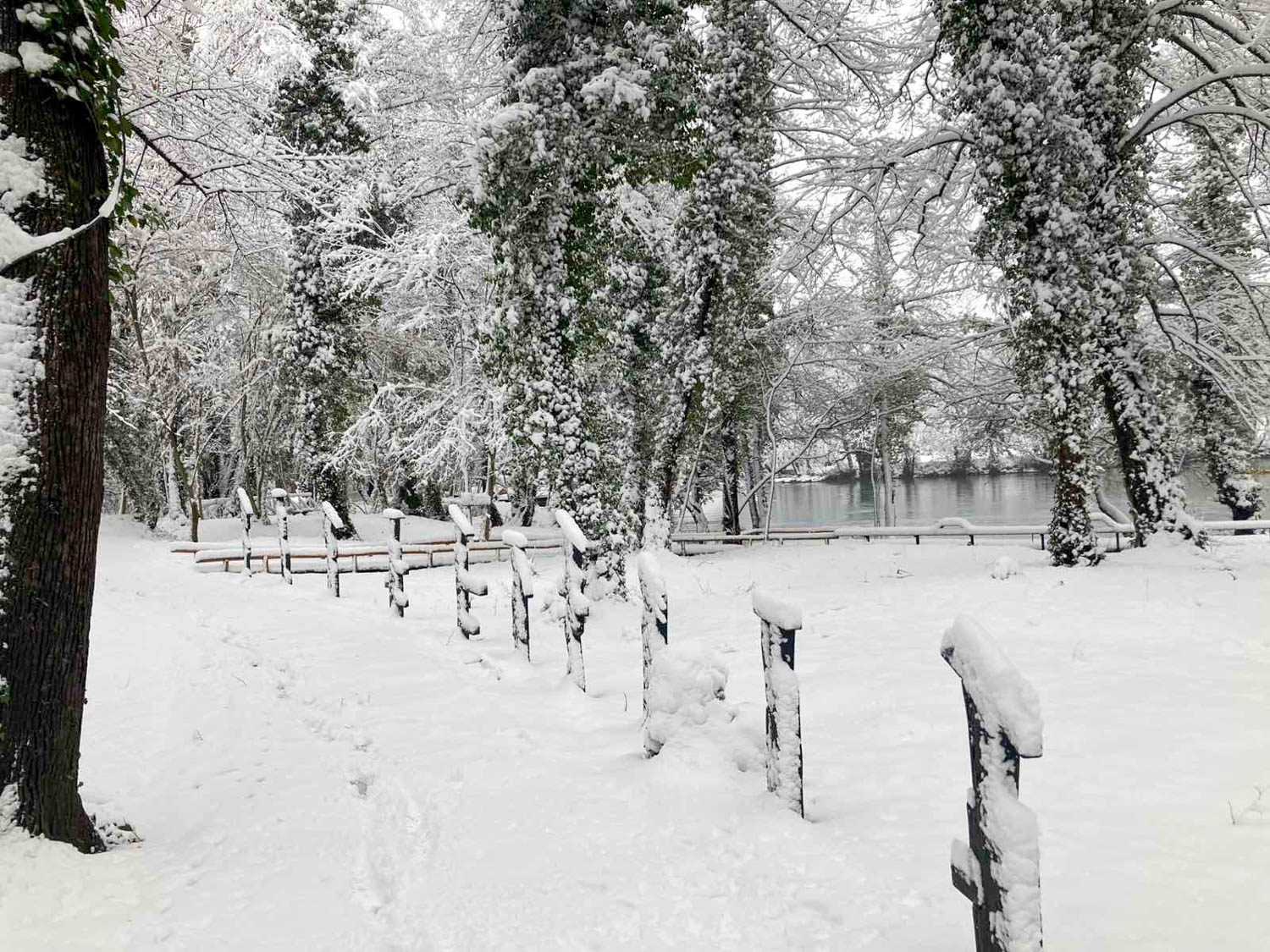 Zimska tišina na Japodskim otocima: Album za resetiranje - 12