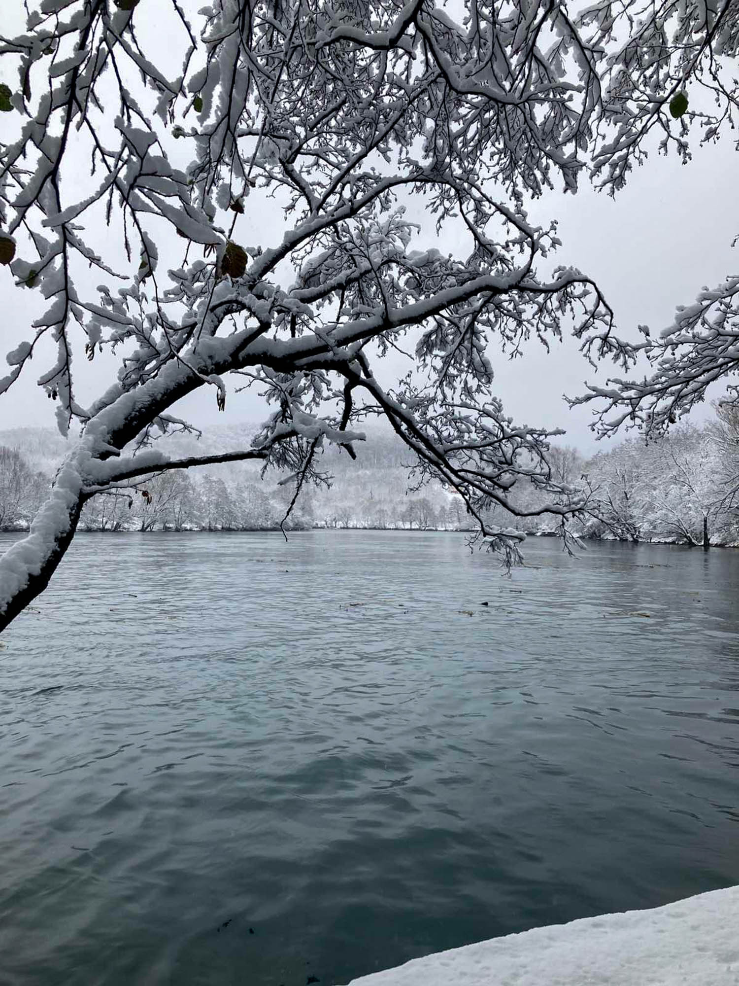 Zimska tišina na Japodskim otocima: Album za resetiranje - 5