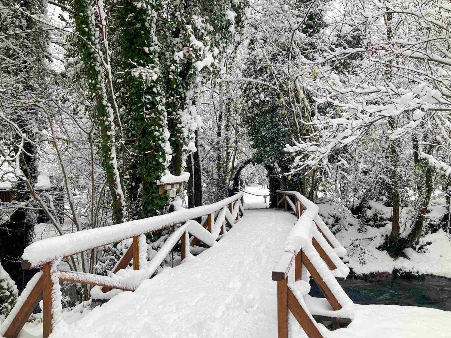 Zimska tišina na Japodskim otocima: Album za resetiranje - 6